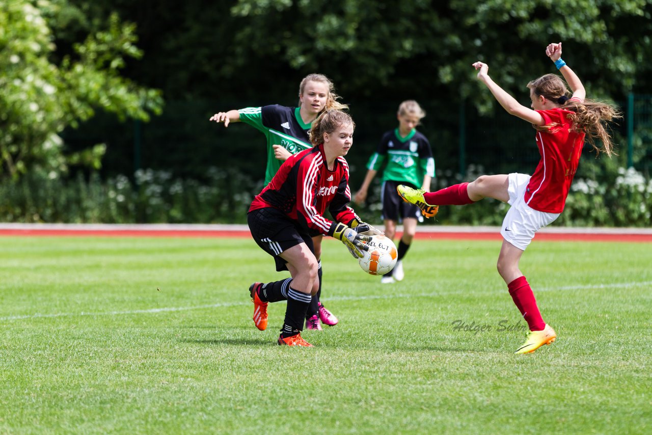 Bild 208 - C-Juniorinnen Landesmeister Finale SV Wahlstedt - TuRa Meldorf : Ergebnis: 1:4